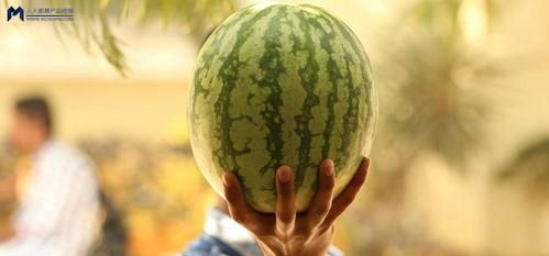 娱乐吃瓜大事件